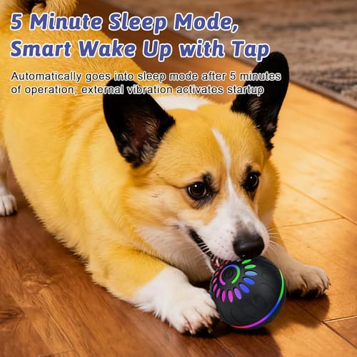 Pipihome Interaktives Hundespielzeug Ball, Hundeball Elektrisch Automatisch Rollender mit LED-Lichtern Spielball, Hundespielzeug Intelligenz für Kleine/mittlere/große Hunde, USB Wiederaufladbar