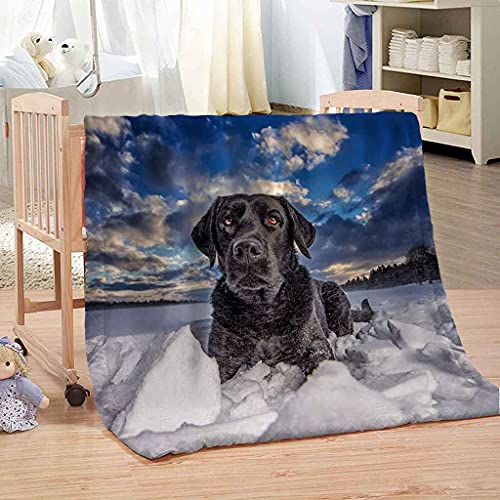 Couverture chaude chiot en microfibre lavable pour éliminer le froid du soir