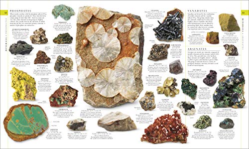 Image of Natural History (DK Definitive Visual Encyclopedias)