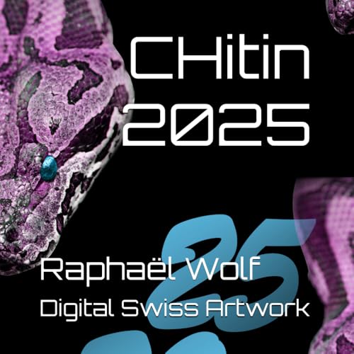 CHitin 2025: Digital Swiss Artwork By Raphaël Wolf