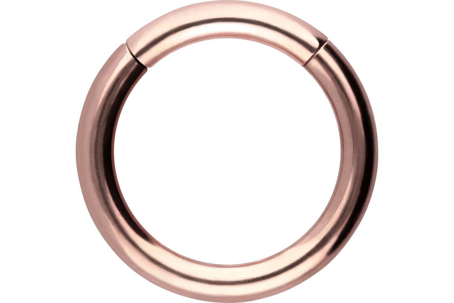 PIERCINGLINE Anillo segmento Clicker de acero quirúrgico – Piercing en oro, plata, rosa, negro o azul – para nariz, tabique, oreja, hélice o tragus — view 117