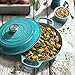 Le Creuset Enameled Cast Iron Signature Braiser, 2.25 qt., Caribbean