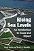 Rising Sea Levels: An Introduction to Cause and Impact