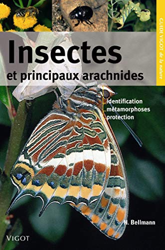  Insectes et principaux arachnides PDF Ebook En Ligne