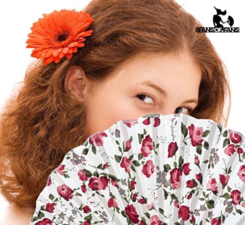 Ventilatori portatili pieghevoli, ventagli tenuti