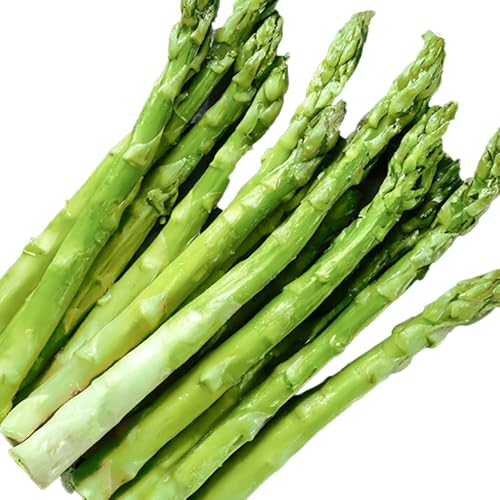 [先行予約][北海道名寄市]朝採りアスパラガス Mサイズ(1.2kg) [2026年5月中旬-6月下旬頃出荷予定]