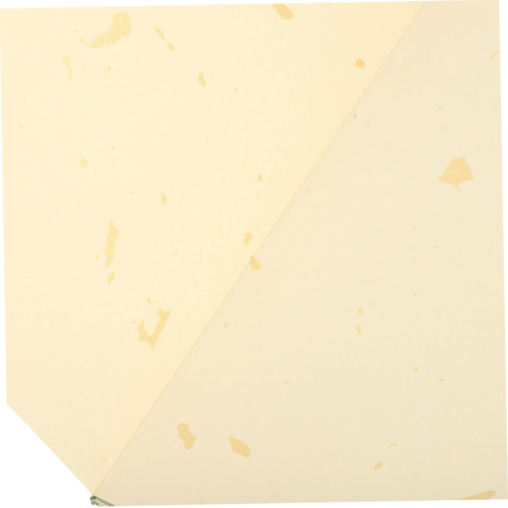 Amazon.co.jp: CAXUSD 折りたたみ書道用紙ブック 多機能空白ブック 紙