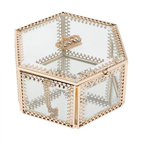 Bonarty Caixa transparente de armazenamento de cosméticos para viagem, recipiente de bonsai, terrári