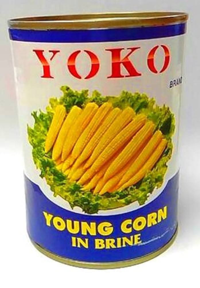 Amazon.co.jp: 業務用・陽光・ヤングコーン・ホール水煮・3号缶