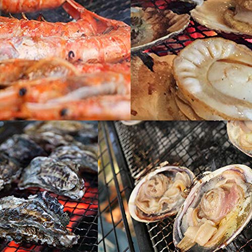 yȖ≮ tzCN o[xL[Zbg BBQ ԃGr10 CJ銱4 kt10 uhy10 JJĂpʁEiCtERt