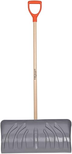 Leonard Poly - Pala de nieve