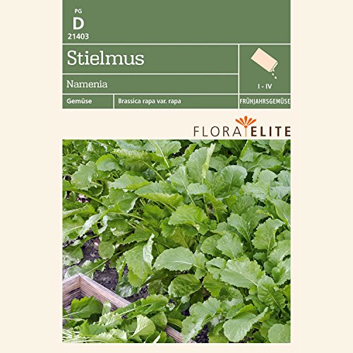 Preisvergleich Produktbild Flora Elite 21403 Stielmus Namenia (Stielmussamen) [MHD 06 / 2020]