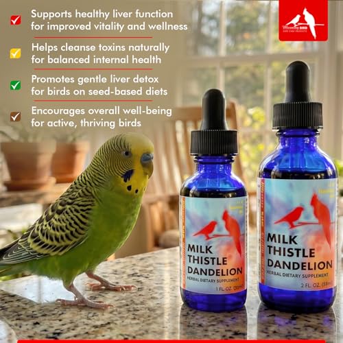 Morning Bird Milk Thistle & Dandelion Extract 2 fl oz – Organic Herbal Supplement for Birds – Supports Liver Health & Natural Detox – Suitable for All Bird Species - Image 5