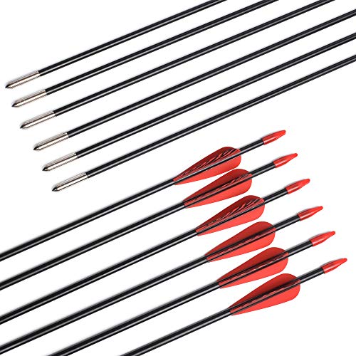 6875 Fiberglass Arrows Archery 26 Inch Target Shooting Safetyglass Recurve Bows Suitable For Youth Children Woman Beginner 6Pcs/Pack (Tigerspot Red Vanes) #TOP2