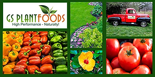 Soft Soil by GS Plant Foods- Liquid Aerator and Lawn Treatment(1 Quart) - Liquid Aerator for Any Grass Type, All Season - Great for Compact Soils, Standing Water, Poor Drainage