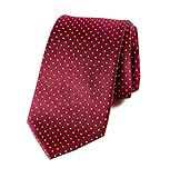Spring Notion Men's Woven Dotted Necktie Red