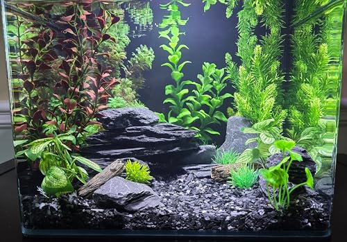 Image of Natural Slate Stone 5 to 7 Inches - USA Sourced and Packaged for Aquascaping Aquariums, Terrariums, Paludariums, Reptile Enclosures, and Gardens (5lbs)