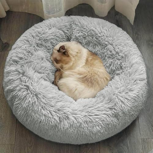 DONWEI Cuccia Rotonda Morbida per Gatti e Cani, 60cm Beige- Lettino Pelo Lungo Peluche, Comodo e Accogliente per Animali Domestici