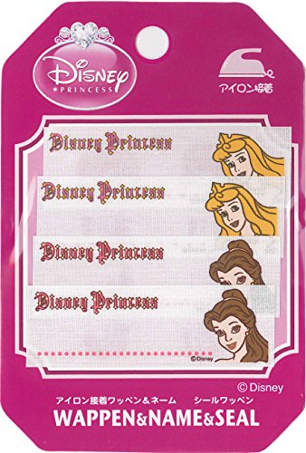 Pioneer pCIjA l[x fBYj[ vZX I[ x MY250-MY100