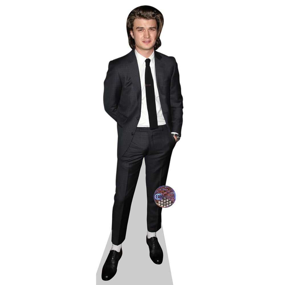 Joe Keery Mini Size Cutout
