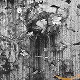 K. Leimer - Threnody