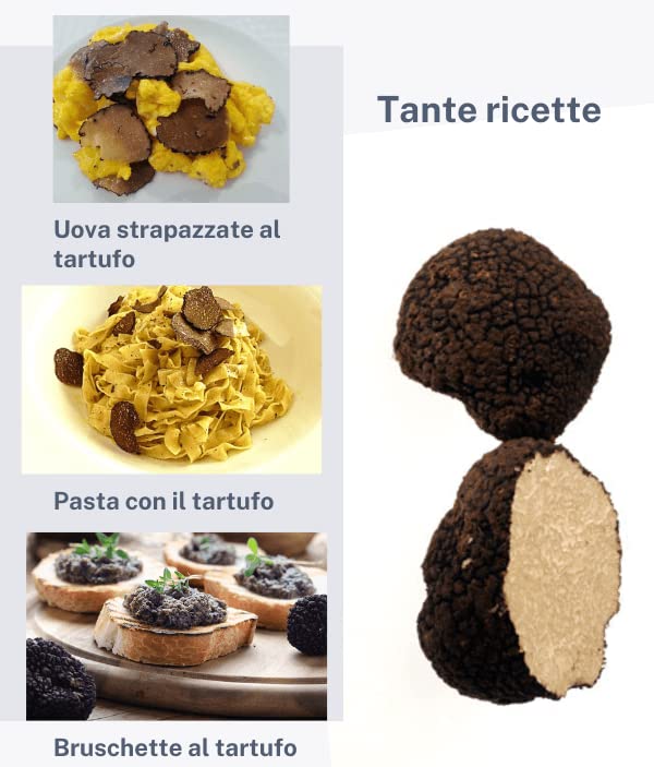 100 grammi Tartufo Fresco Nero Estivo Scorzone | Raccolto in Umbria (Italy) | Tuber aestivum Vitt | Raccolto e spedito in 24 ore | Spedito a temperatura controllata