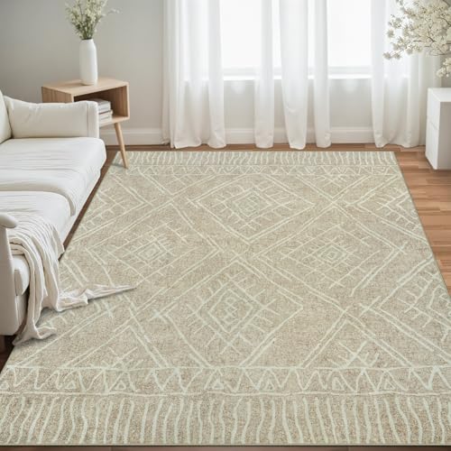 5x7 Area Rug for Living Room : Washable Rug Modern