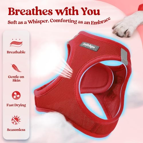 Image of rabbitgoo Dog Harness Small Sized and Leash Set, Step-in Puppy Pet Vest