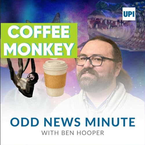 Coffee for spider monkey, Lowe's cat stows away