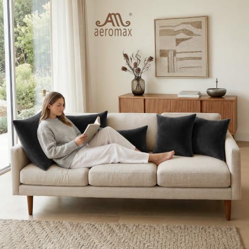 Image of AM AEROMAX 22x22 Memory Foam Throw Pillow Inserts, 2 Pack, Square, Black