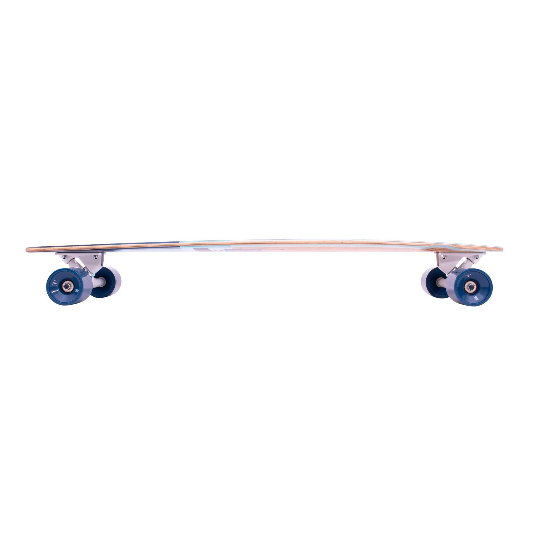 Amazon | Z-Flex Skateboards(ジーフレックススケートボード) 38inch Z
