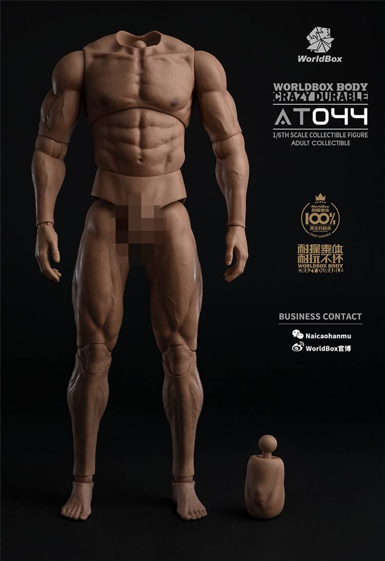 Amazon | [AC] Worldbox AT044 1/6 男性 男 筋肉 モデル 可動