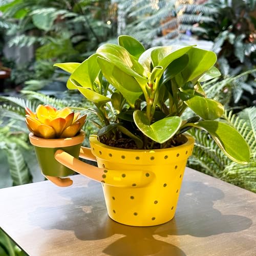 Cute-Indoor-Planter-Succulent-Pots-Mom-Hugging-Baby-Double-Plant-Pots-Decorative-53-Pot-29-Cactus-Pot-with-Drainage-Interior-Outdoor-PlantsUnique-Fun-Gift-PlantersBest-Gifts-Family-Friends