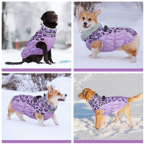 Kuoser Hundemantel Winter für kleine Hunde Wasserdicht & Winddicht, Warme Hundejacke mit Fleecefutter Reflektoren Reißverschluss, Pelzkragen & D-Ring – Outdoor Hundebekleidung, S