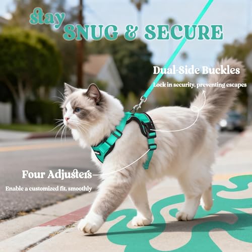 Image of rabbitgoo Cat Harness and Leash Set, Escape Proof Vest, Emerald | Soft Breathable Mesh, Easy Adjustable Fit, Snap Buckles, Sturdy Clip, Reflective Strips, for Average Cats Walks, S