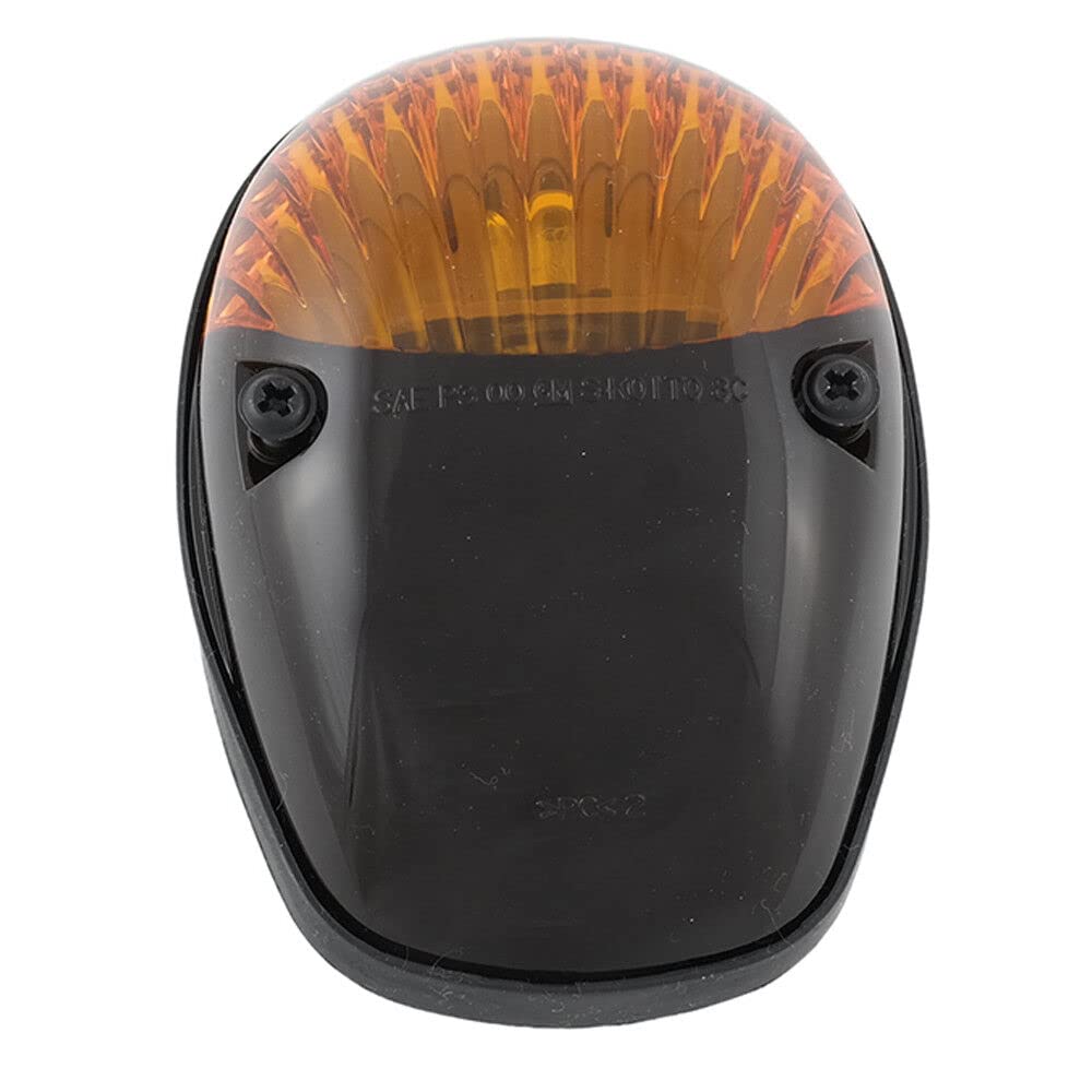 Amazon.com: OEM NEW Roof Cab Clearnace Light Amber Right Passenger 