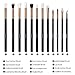 Yuwaku Eye Makeup Brushes Set - 12pcs Eyeshadow Brush Professional Black Premium Synthetic Blending Concealer Brushes for Eyeliner Eyebrow Contour