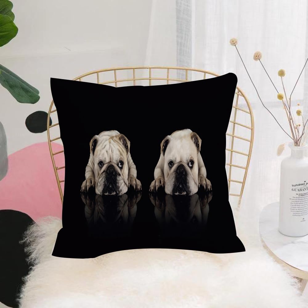 HYOSXW Cushion Cover,Throw Pillow Case Home Decorative for Living Room Bedroom Sofa Chair 16X16 Inch,Bulldog in the mirror,Monochrome portrait of twin bulldogs,Bulldog two thinking,Pillowcase 40X40cm