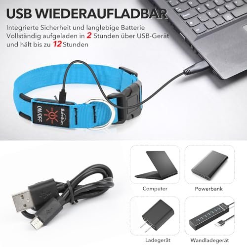 Illumifun Leuchthalsband Hund Aufladbar LED Hundehalsband Wasserdichtes Leuchthalsband für kleine und große Hunde, Hundelichter für nächtliche Spaziergänge (Blau, M)