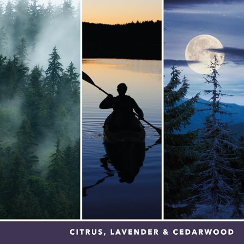 Yankee Candle Scented Candle | Midsummer's Night Large Jar Candle | Long Burning Candles: up to 150 Hours