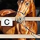 PEUTIER 8stk Wandmontage-Dressurmarker für Arena, Acryl Trainings-Dressurmarker für Reitsportler A B C E H K F M Markierungen mit Großen Buchstaben