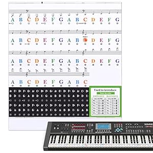 Greoer Piano Key Stickers for 37/49/54/61/76/88 Keys, White, Black and Colorful Piano Keyboard Stickers, Transparent…