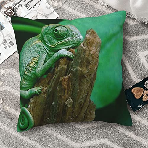 Radda Green Lizard Print Throw Pillow Covers,Decorative Soft Corduroy Cushion Covers For Living Room Bedroom Couch Bed Sofa #TOP7