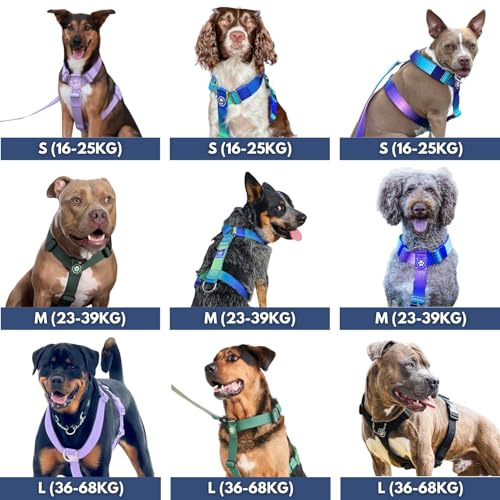 Spark Paws No Pull Hundegeschirr Grosse Hunde, Halterdesign mit Frontclip, Y Geschirr Hund, Robust und Strapazierfähig Harness für Große und Starke Rassen - 90s Retro, L