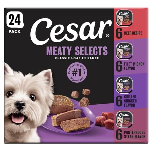 Cesar Classic Loaf in Sauce Wet Dog Food, Meaty...