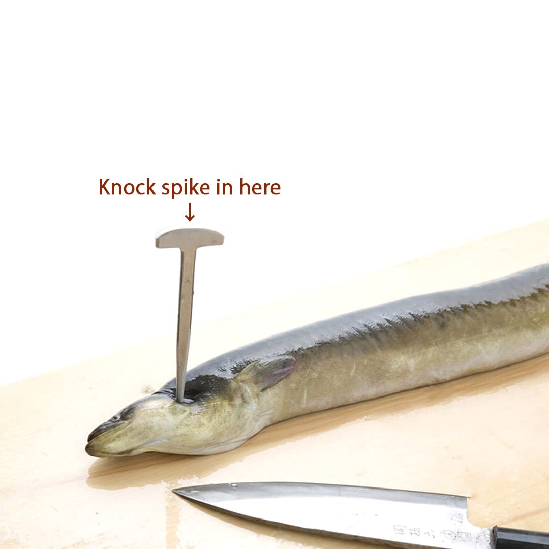 QANYEGN Japanese Stainless Steel Eel Spike - 304 SS Eel Preparation Tool For Kitchen Or Restaurant, 14.7cm - View #10