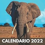  Calendario 2022: Animales - Un Calendario Mensual de 12 Meses  de Enero a Diciembre 2022  Contiene Fotos de Animales del Bosque, Vacaciones y Lugar ... ... Niños, Adultos, Navidad, Cumpleaños