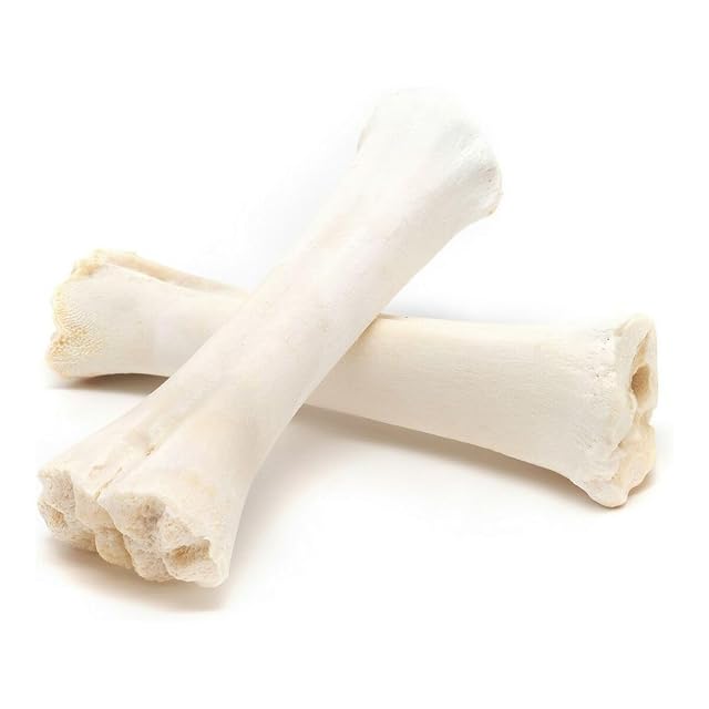 Gloria Expositor Huesos de Calcio 300 g