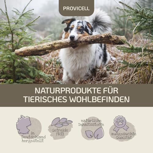 Provicell | Beruhigungsmittel für Hunde I Ideal für Silvester & Urlaub I Natürliche Entspannung mit Baldrian und Melisse I Mit Tierärzten in Deutschland entwickelt | RelaxVital Pulver 60 g