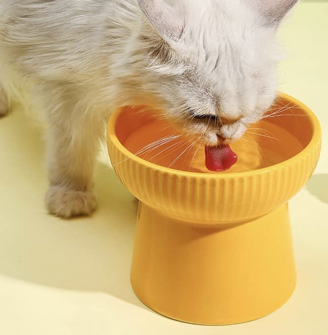 Image of PETANGEL Ceramic Cat Food Or Water Bowl, 2 Pcs Raised Cat Feeder Dishes with Stand, Elevated Pet Food Bowl for Cats and Small Dogs, Stress Free Backflow Prevention & Reduce Neck Burden